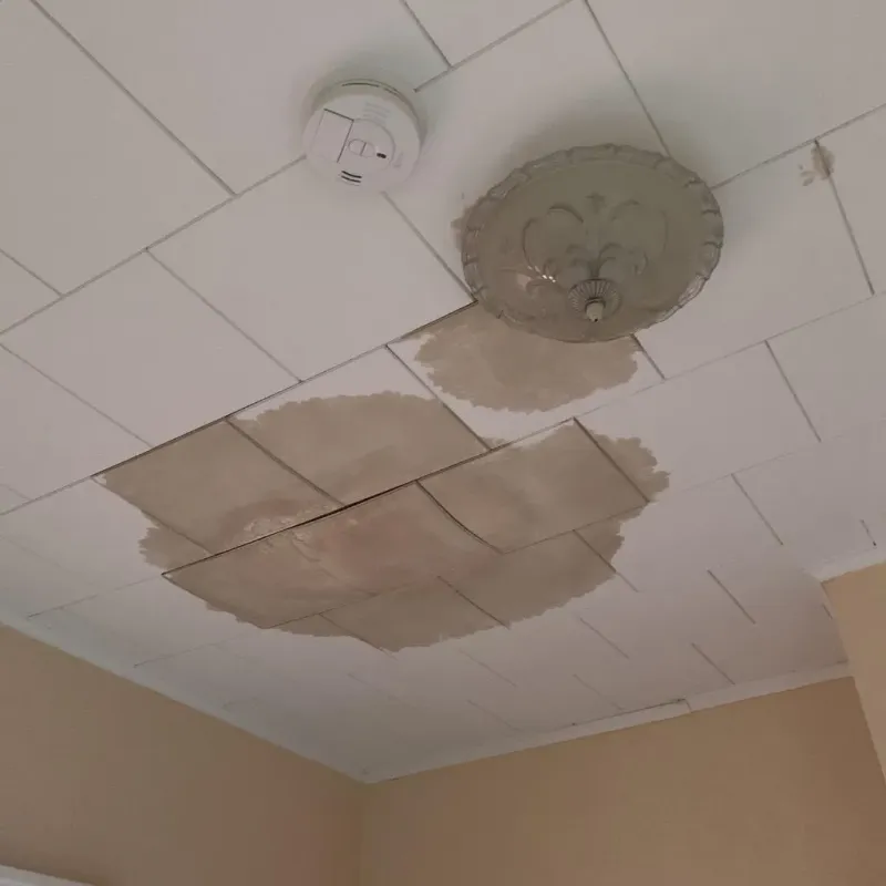 Ceiling Water Damage Repair in Shattuck, OK