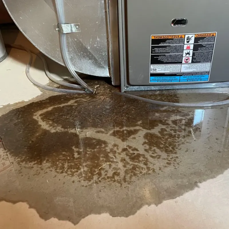 Pipe Burst and Leak Restoration in Shattuck, OK