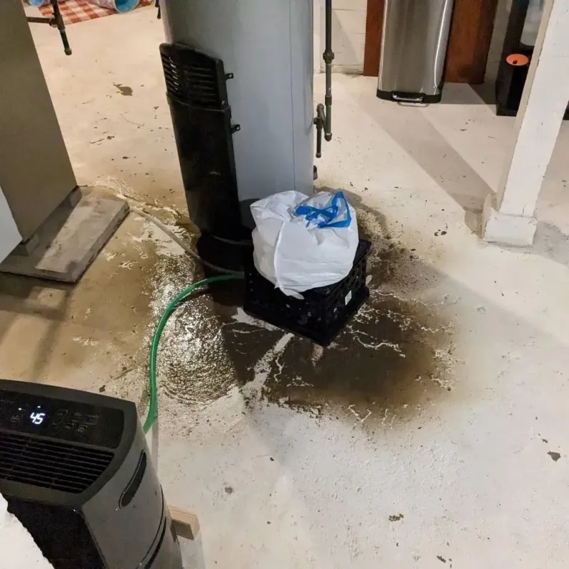 Sewage Backup Cleanup Service in Shattuck, OK